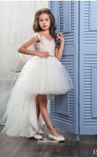 Tulle , Lace Princess Illusion Cap Sleeve High Low Dresses CHK163