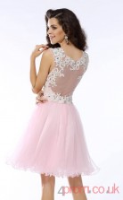 Blushing Pink Tulle Lace A-line Mini V-neck Graduation Dress(JT2324)