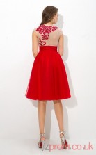 Red Tulle A-line Mini Sweetheart Short Sleeve  Graduation Dress(JT2368)