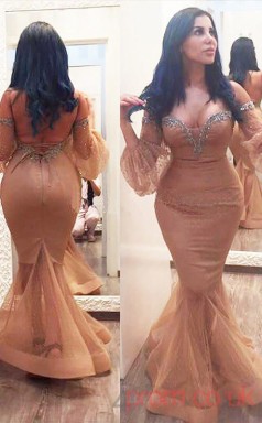 Trumpet/Mermaid Nude Pink Tulle,Lace Off The Shoulder Long Sleeve Floor-length Plus Size Dress(PLJT8016)