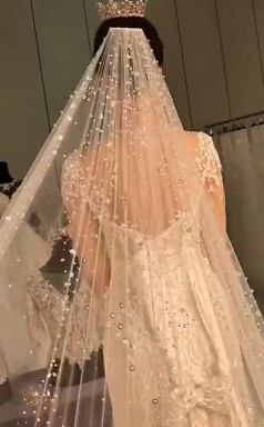 Sweep Train Champange Wedding Veil  with Pearls 3.5Mx3M VE023